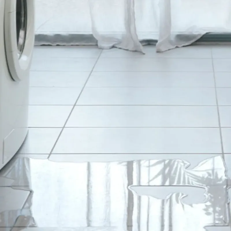 Appliance Leak Cleanup in East Quincy, CA