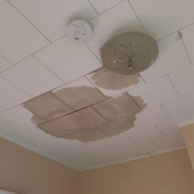 Ceiling Water Damage Repair in East Quincy, CA