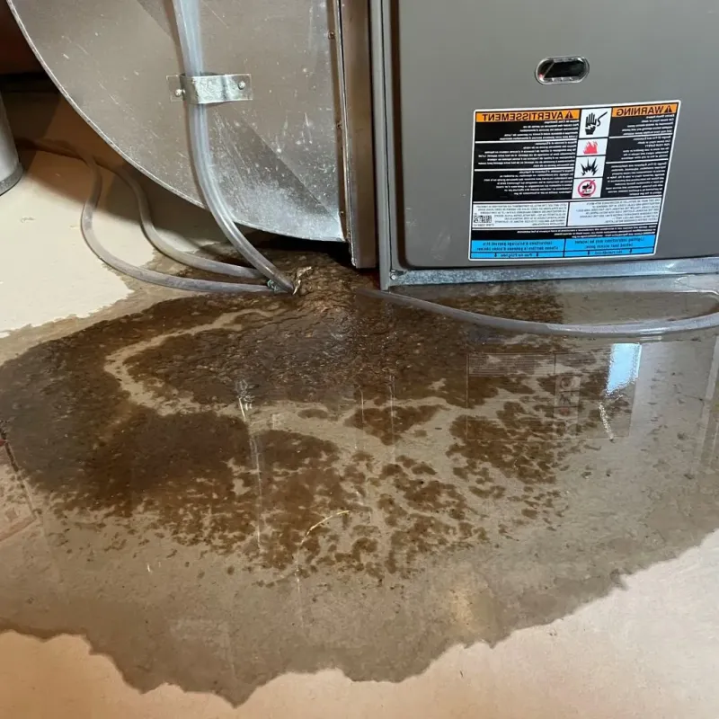 Pipe Burst and Leak Restoration in East Quincy, CA